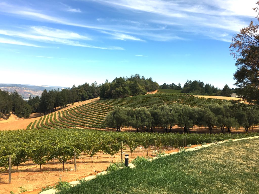 Taste Dozens of Spring Mountain Wines in SF, Visit Napa Valley Too ...